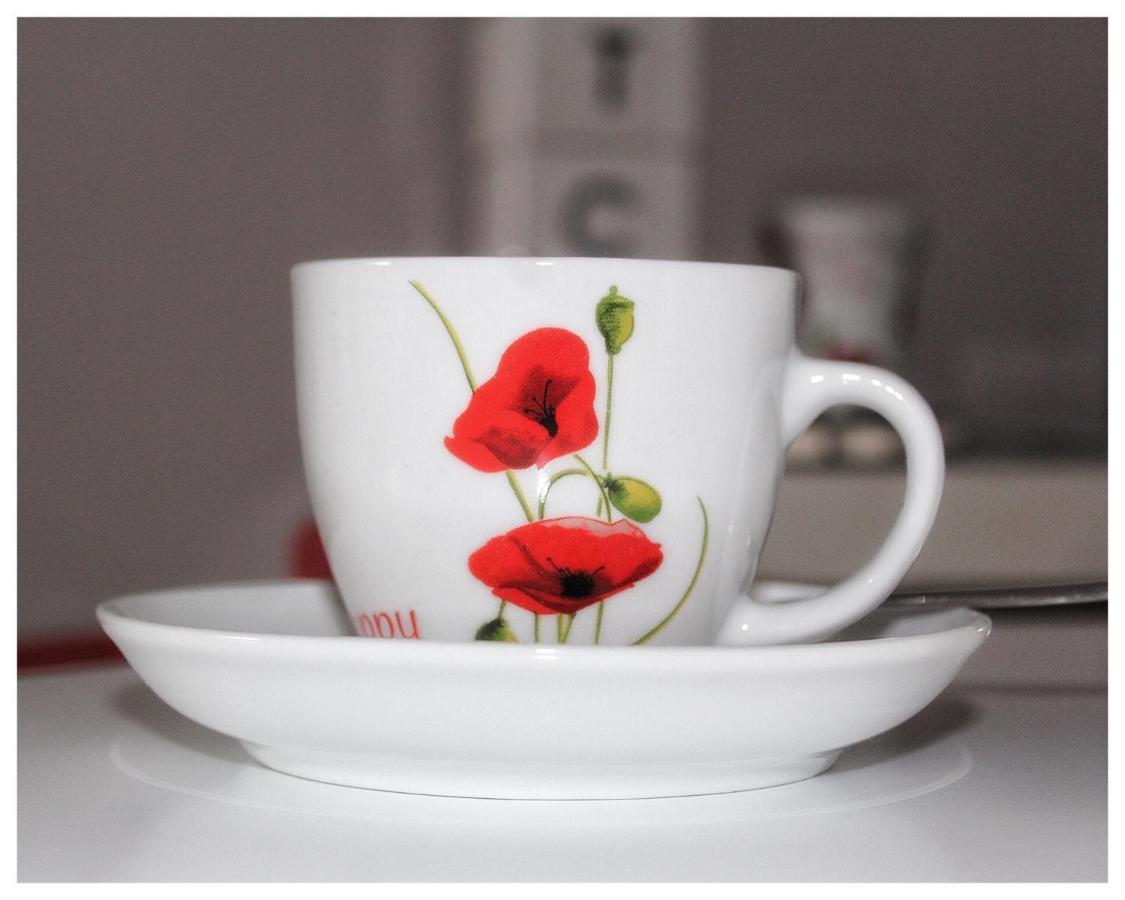 Flanders Fields Leilighet Dingwall Eksteriør bilde