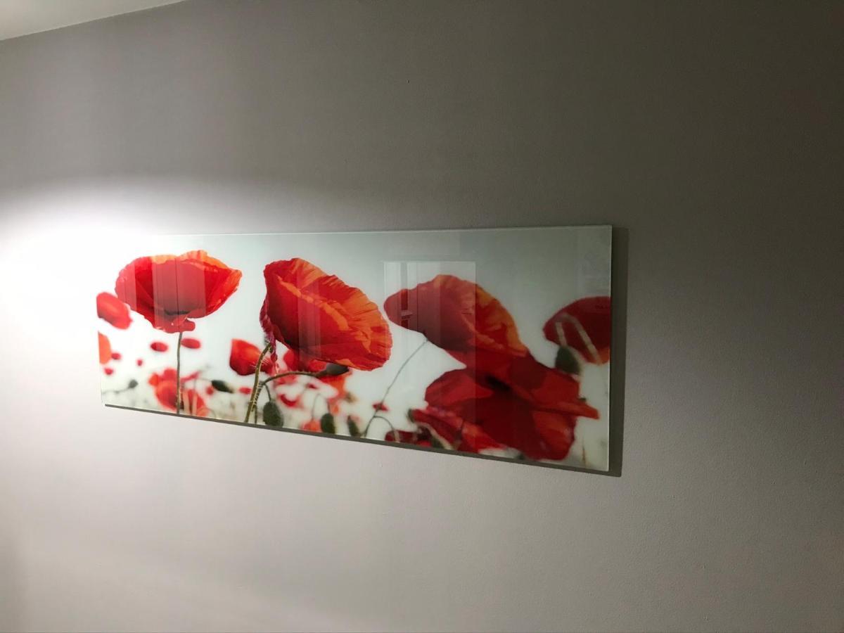 Flanders Fields Leilighet Dingwall Eksteriør bilde